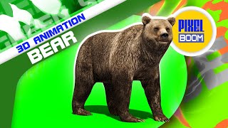 Green Screen Bear Animals 3D Animation PixelBoom