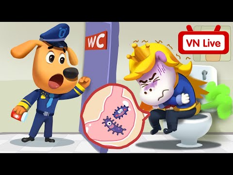 🔴 TRỰC TIẾP Hoạt hình cảnh sát trưởng Labrador | Tuyển tập hoạt hình labrador | BabyBus Livestream