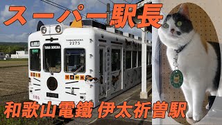【和歌山電鐵編】伊太祈曽駅 スーパー駅長”よんたま”ちゃんに会いに行く