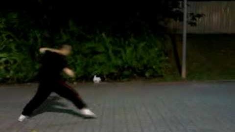 Northern Shaolin 7 Star Mantis Bung Bo Form 七星螳螂崩步拳