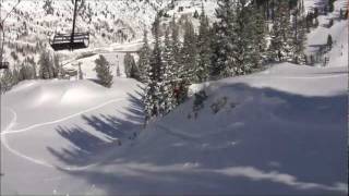 Alta Blue Bird Powder - January 2012