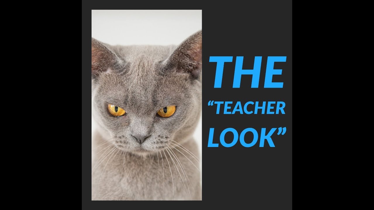 How to Get 30 Kids to be Quiet in 10 Seconds 