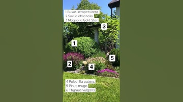 Short video of plant composition with marks #1 #shorts #landscapedesign #plants #landscape