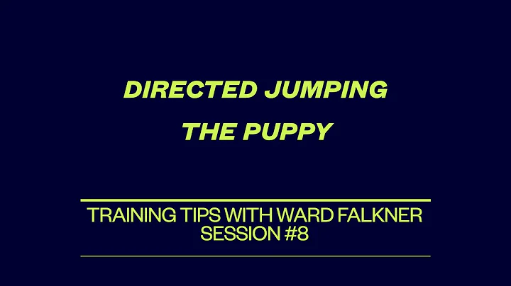Directed Jumping Part I - The Puppy