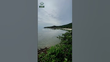 سورة التوبة • مدنية • بصوت ماهر المعيقلي | عدد الآيات: 129 #قرآن #Quran #تلاوة #قرآن_كريم #التوبة