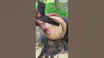Technique for removing coconut meat from its shell
