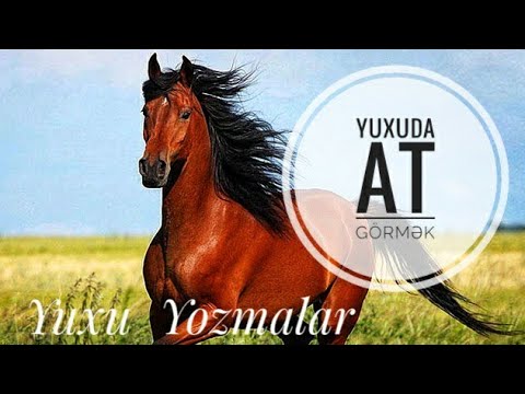 Video: At Şabalıdı Problemləri: Mənim At Şabalıdı Ağacımda Səhv Nədir