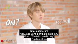 BTS (방탄 손 연단) ARMY ZIP SUGA Dream Interview [SUB INDO]