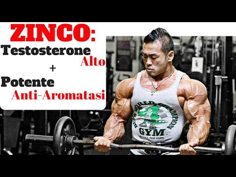 ZINCO: Integratore importantissimo per gli SPORTIVI ** TESTOSTERONE & ESTROGENI **