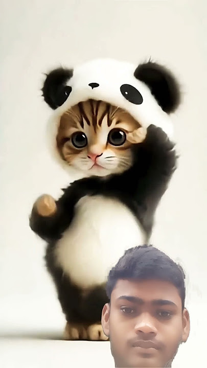 https://youtube.com/shorts/-lENp5YN6Vw?si=qdhedn-4H3dGarV5#story #youtube #viral
