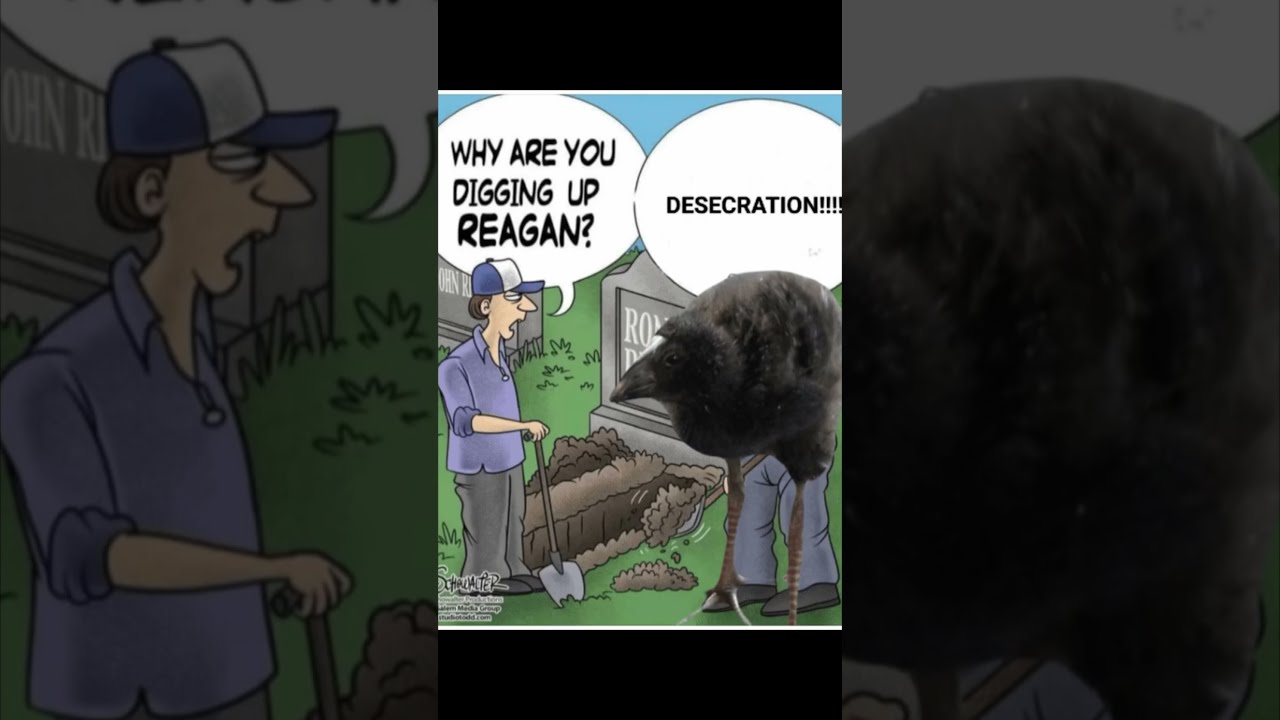 R333FFG FG33R GGFRR 3 Memes
