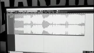 Lars Macer  & Dj T hammer Machine Gun preview !!