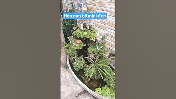 Hòn non bộ mini đẹp #shorts