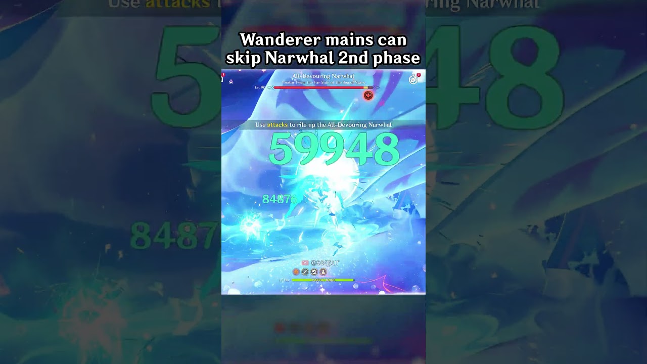 WANDERER MAINS CAN SKIP NARWHAL 2ND PHASE