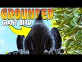 GIANT BIRD IN GROUNDED WOW - Everything NEW Secret Labs, Weapons, Bugs, Spiders, Armor & MORE