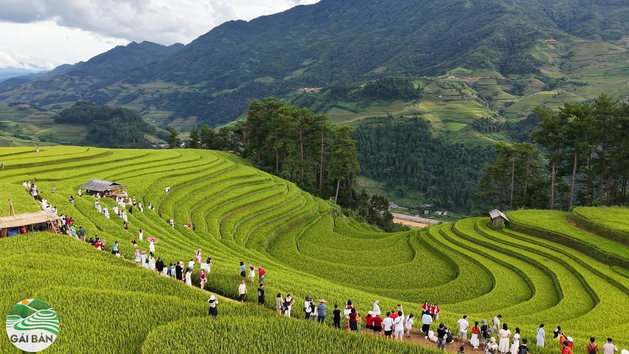 Choáng ngợp với cảnh đẹp ruộng bậc thang Mù Cang Chải - Hàng ngìn khách du lịch đến chiêm ngưỡng
