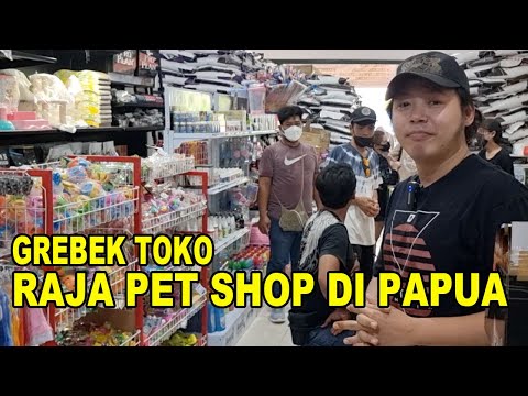 Grebek Toko Raja Pet Shop Di Papua