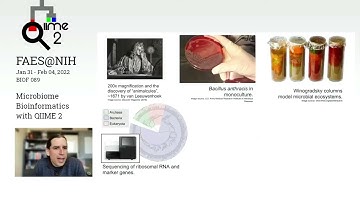 An introduction to QIIME 2