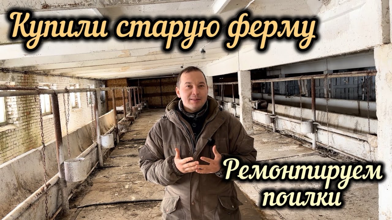 Купил ферму. Наконец делаю ремонт