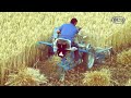 ديو الوسطى