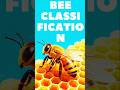 The Bee Classification Nobody Talks About #science #shorts