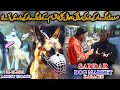 Saddar Sunday Dogs Market 31-1-2021 Labrador Retriever Siberian Husky German Shepherd  Pit Bull Dogs