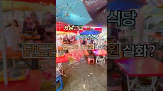#축령산계곡가든 #계곡식당 #서울근교맛집 #계곡백숙 #여름계곡추천 #백숙맛집 #남양주여행 #서울근교계곡 #계곡맛집 #발담그는식당