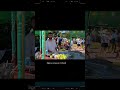 Интересные факты об Алании | Турция