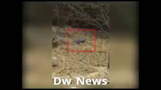 Graphic Video Man And Tiger Both Dead After Failed Zoo Break-In China