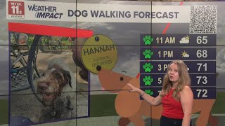 Dog Walking Forecast Green Paw For Cooler Temperatures And Sunny Skies Good Day On Wtol 11