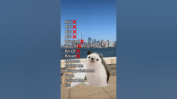 Hedgehog Wants Bread In New York 🏙️