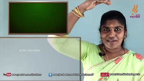 KITE Palakkad STD 6 Basic Science Chapter 1 Episode 2 (First bell Tamil medium - பஸ்ட் பெல்)