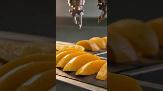 Massive Mango Food Production Line | Modern Fruit Processing Factory #engineering #manufacturing