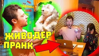 Я ПРОДАЛ КОТА ДЕВУШКИ ЗА 10000 РУБЛЕЙ / ПОДПИСЧИК ЖИВОДЕР / КОШКА НЕВИДИМКА ПРАНК НАД ДЕВУШКОЙ Я ПРОДАЛ КОТА ДЕВУШКИ ЗА 10000 РУБЛЕЙ / ПОДПИСЧИК ЖИВОДЕР / КОШКА НЕВИДИМКА ПРАНК НАД ДЕВУШКОЙ