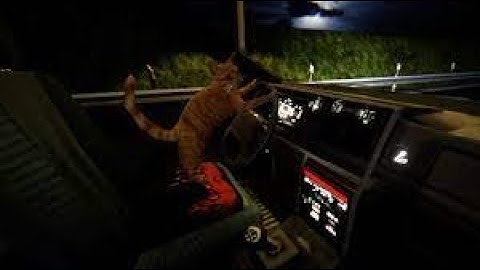 NipForSpeed - A Fun Ride with a cat that Drives wait  BUT the cat has a Gun!!