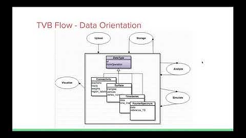 "TVB - EBRAINS: TVB in the Human Brain Project Cloud" - Lia Domide