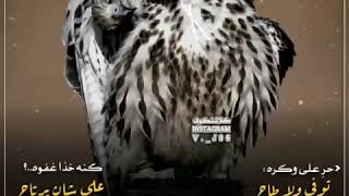 حر على وكره توفى ولا طاح