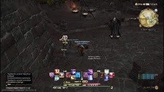 Final Fantasy XIV ShadowBringers: Nyelberts Lament