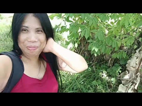 going to banana's farm with JOAN laud #unboxing  #tryon  #nature