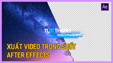 Học After Effects: Hướng dẫn xuất file tách nền After Effect | Tú Thanh Blog