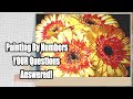 Painting By Numbers | Your Questions Answered! (Opalberry Kit Review)