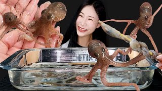 세상에서 가장 작은 낙지🐙 꽃낙지 먹방 Raw Octopus +Spicy Sauce🔥 EATING SOUNDS MUKBANG モッパン 이팅사운드