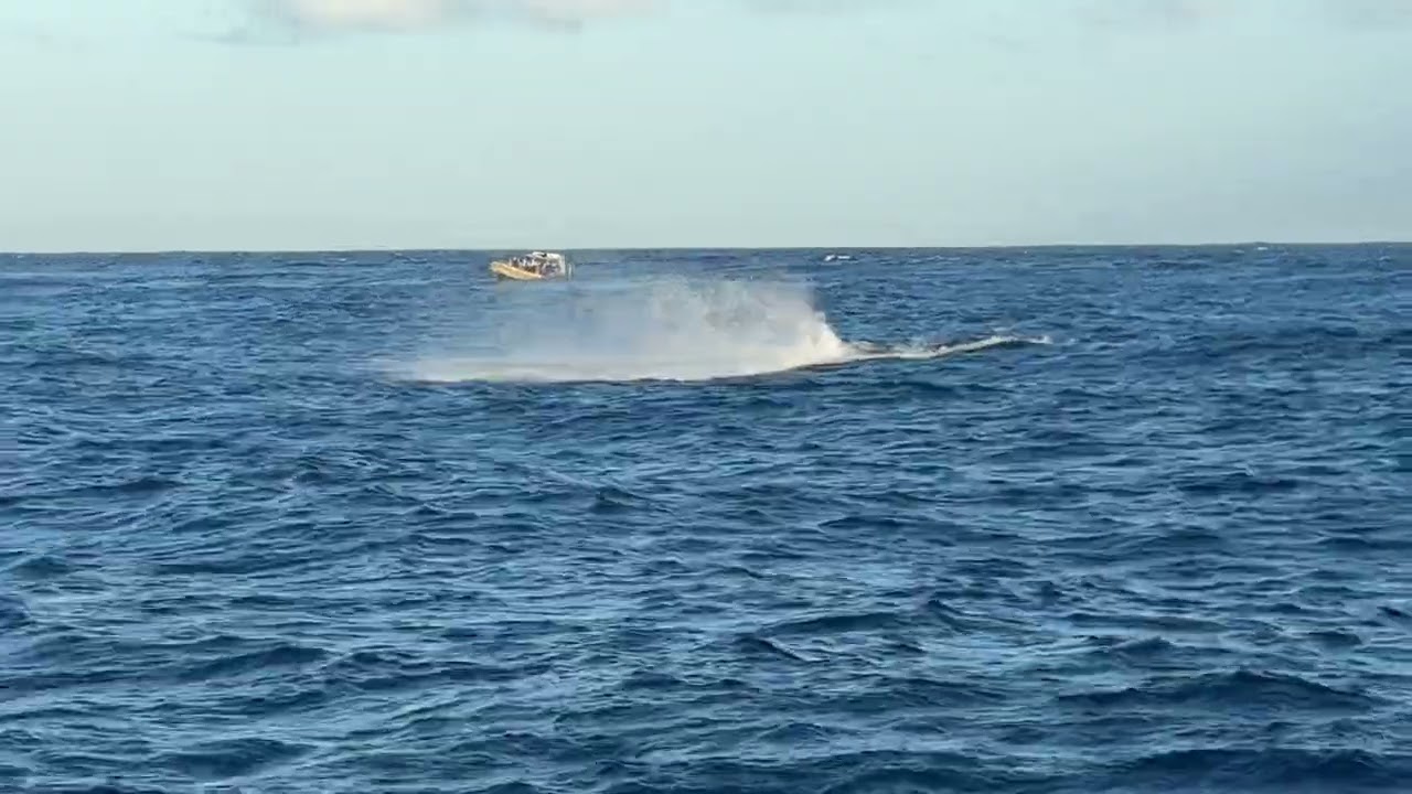 Joels version of an epic boat ride to lanai today!! 