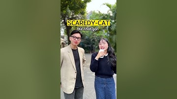 Tuyển tập Idiom về Mèo| Ms Hoa TOEIC