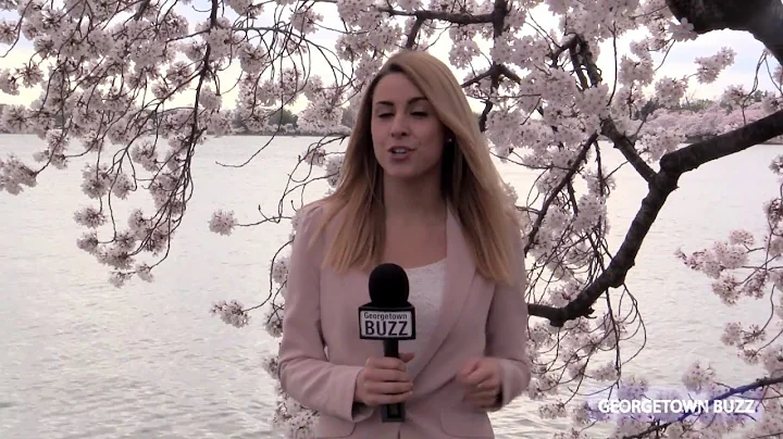Cherry Blossoms in Washington, DC - DayDayNews