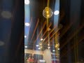 Studio light in a restaurant #viral