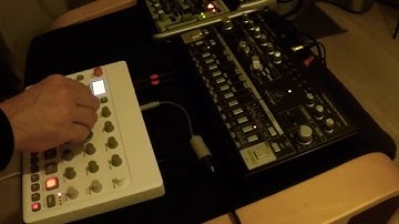 Model Samples + TD-3 Soft Acid Techno