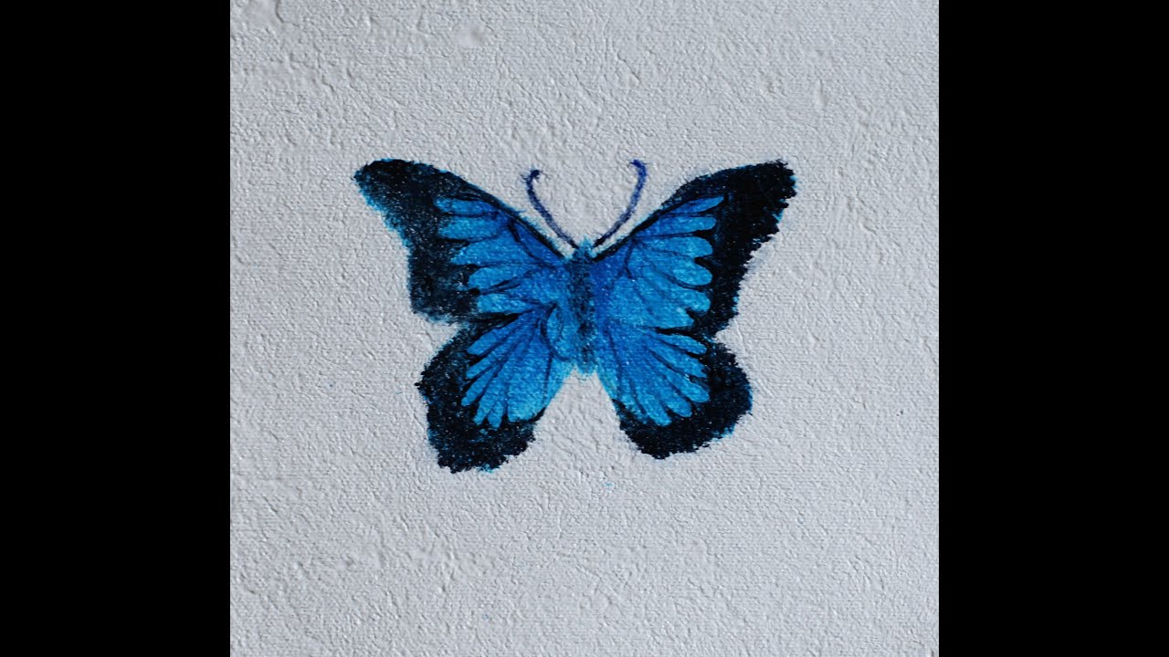 Paint a Butterfly - Pamela Groppe Art - Acrylic Painting for Beginners