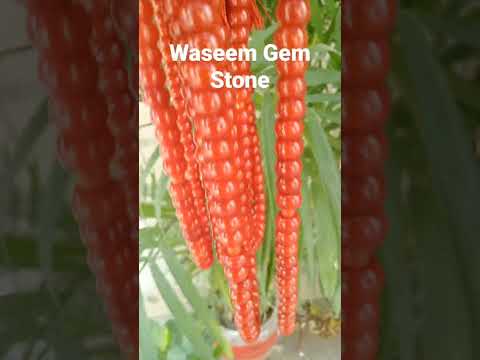 Natural Marjan Coral Stone Tasbih | Real Gemstones Tasbeeh in Coral Marjan | Islamic Tasbih By WGS