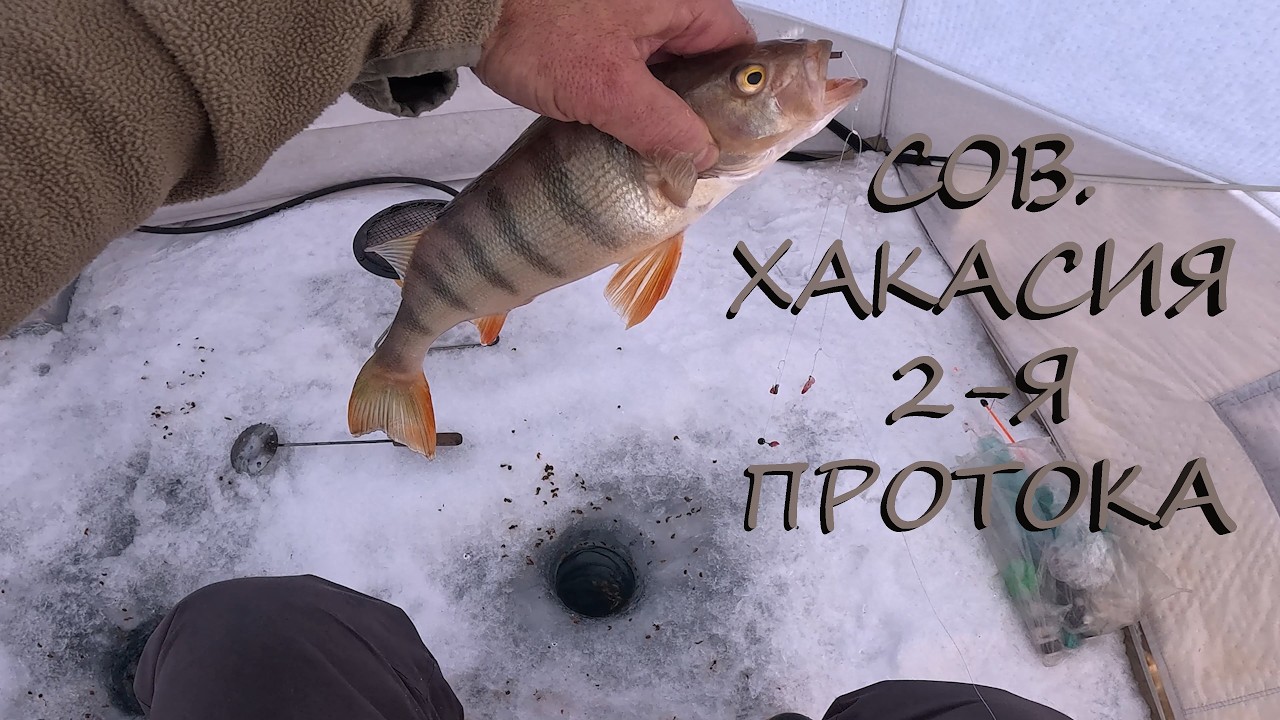 ПРИЕХАЛ НА СТАРЫЕ ЛУНКИ ЧЕРЕЗ 3 ДНЯ | К.В.Х.